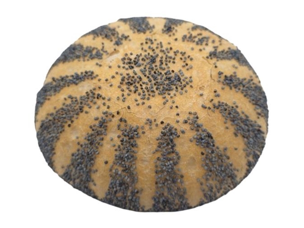 Harde maanzaadbollen wit